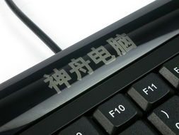神舟唐朝F100C 经典40G硬盘一体电脑的图文回顾纪